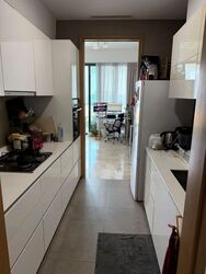 Skyline Residences (D4), Condominium #543938921